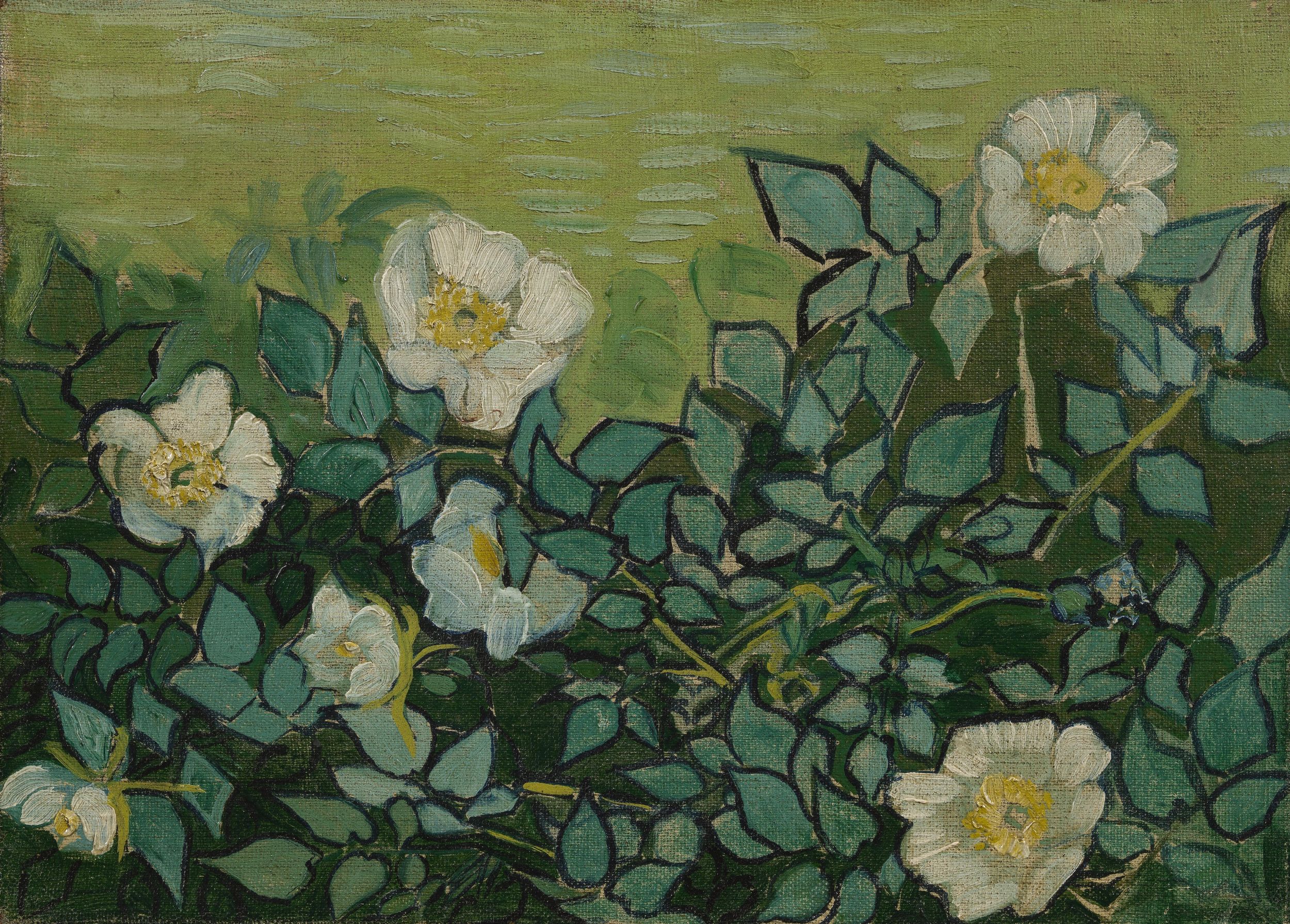 Картина Ван Гога Дикие розы 1890